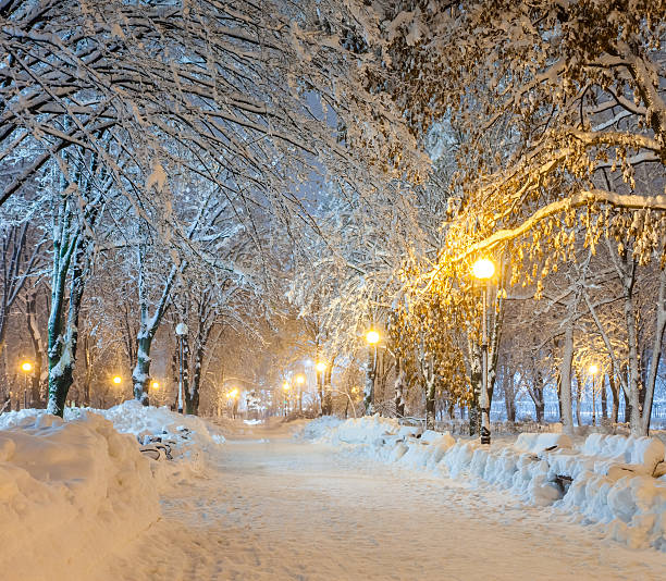 istock Winter city park 187108719