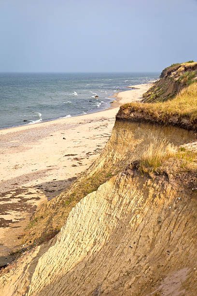 istock Beach at the Baltic Sea 187109002