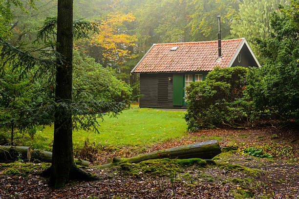 baita nel bosco - shack hut old obsolete foto e immagini stock