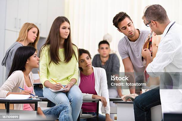 Alunos E Professor Com A Anatomia Da Turma - Fotografias de stock e mais imagens de Anatomia - Anatomia, Sala de Aula, Aluno da Escola Secundária