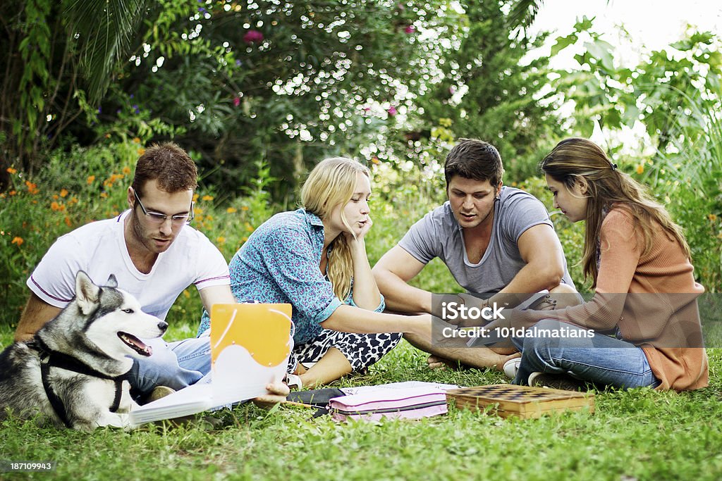 Группа молодых друзей в парке - Стоковые фото Группа людей роялти-фри