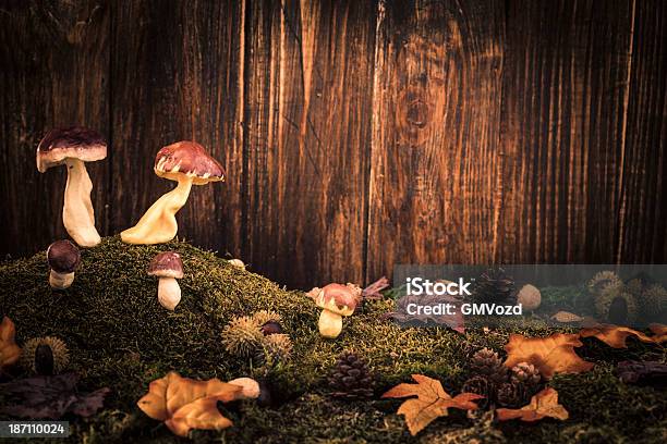 Autumn Decoration With Mushrooms Chestnuts Moss Leafs And Pines Stock Photo - Download Image Now