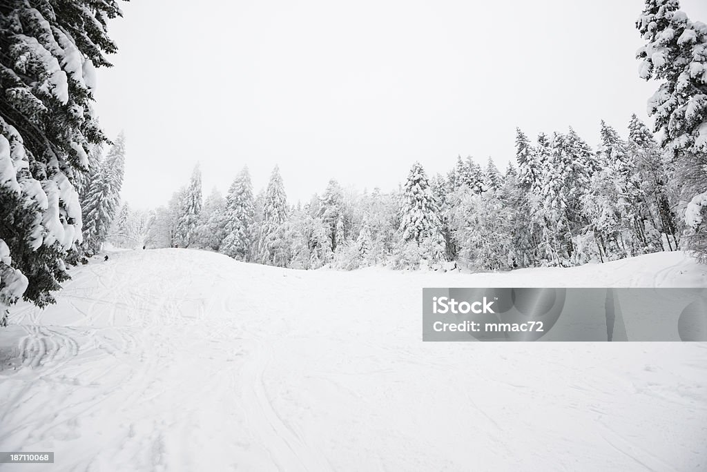 Paisaje de invierno con nieve y árboles - Foto de stock de Abeto Picea libre de derechos