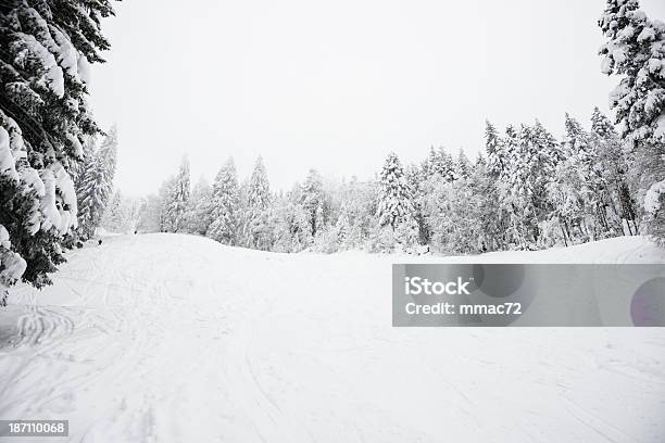 Paesaggio Invernale Con La Neve E Gli Alberi - Fotografie stock e altre immagini di Albero - Albero, Albero sempreverde, Alpi