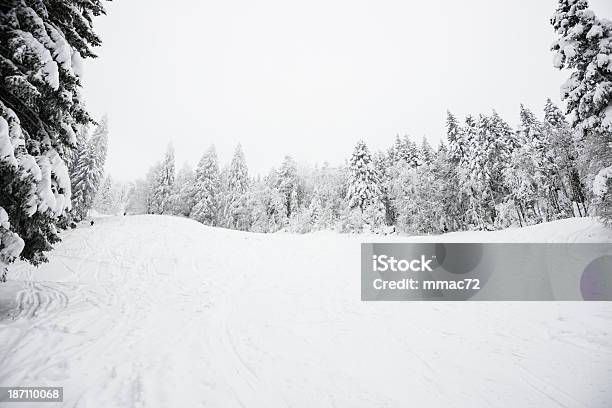 Зимний Пейзаж С Снегом И Деревьями — стоковые фотографии и другие картинки Арктика - Арктика, Без людей, Белый