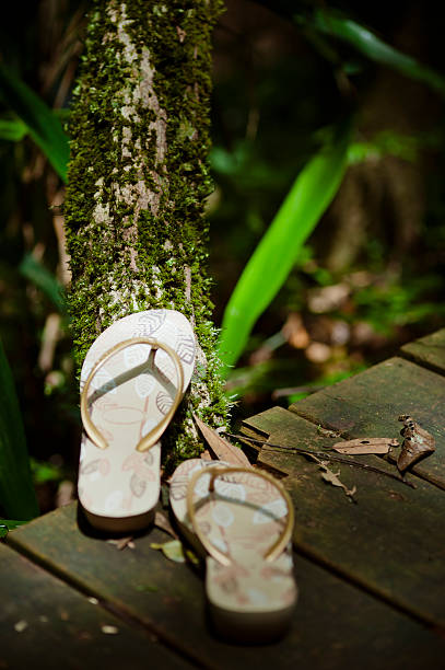 Slippers on Wooden Footbridge Pair of slippers near wood covered with moss. fz009 stock pictures, royalty-free photos & images