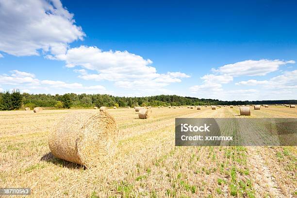 Hay Bales Stockfoto und mehr Bilder von Agrarbetrieb - Agrarbetrieb, Blau, Ernten