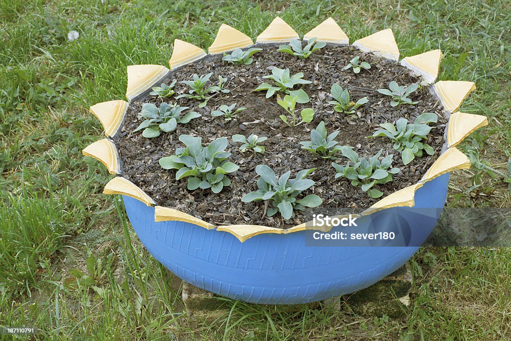 Pot made ​​from old car tires A flower bed made ââfrom old car tires Agriculture Stock Photo
