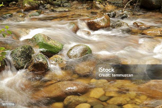 Photo libre de droit de Creek banque d'images et plus d'images libres de droit de Beauté de la nature - Beauté de la nature, Bois, Canada