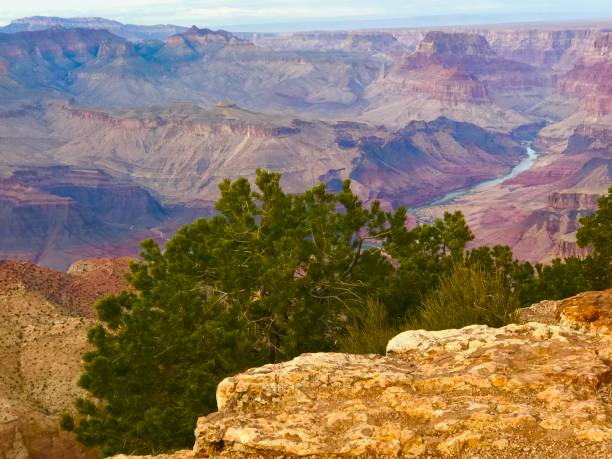 istock Grand Canyon National Park 1871116570