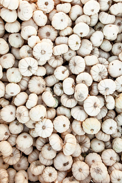 White Pumpkin Background