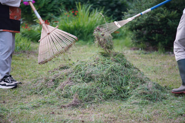 istock Collecting grass cut by a mower 1871130847