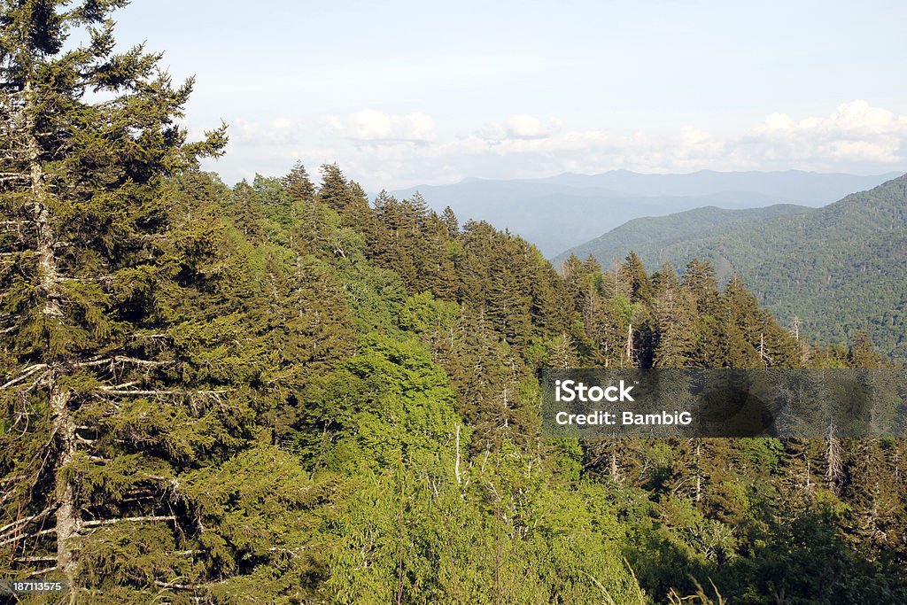 Smoky Mountains - 로열티 프리 0명 스톡 사진