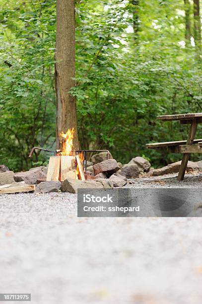 Foto de Fogueira De Acampamento Com Mesa De Piquenique e mais fotos de stock de Acampar - Acampar, Bosque - Floresta, Brasa