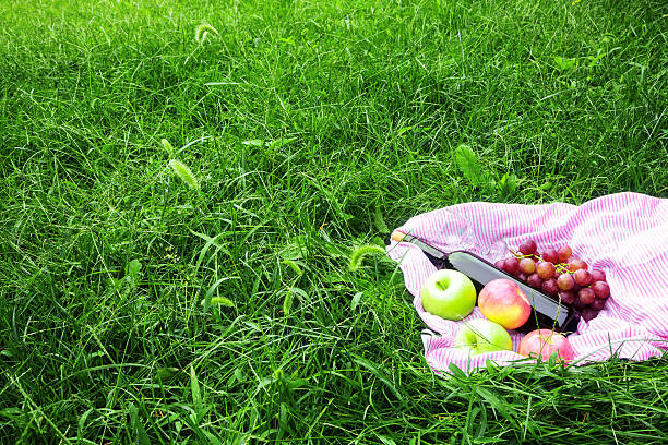 Picnic:red wine and fruits on grass background