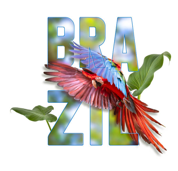 Logo badge for Brazil with flying macaw\nThe red-and-green macaw ( Ara chloropterus ), also known as the green-winged macaw, is a large, mostly-red macaw of the genus Ara.