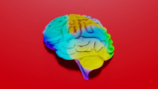 istock A colorful brain addicted to dopamine, 3d rendering 1871152127