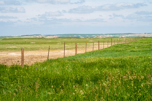 National Grassland, South Dakota, USA