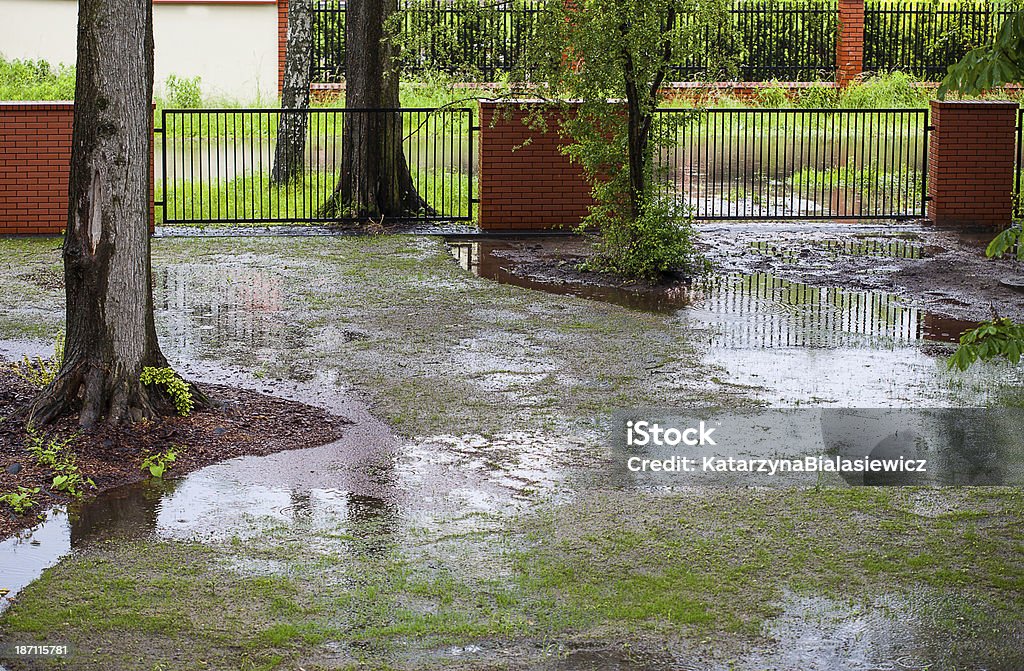 Spring flood A muddy backyard with puddles after spring rain Yard - Grounds Stock Photo