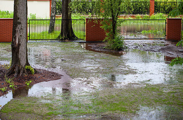 Spring flood A muddy backyard with puddles after spring rain puddle photos stock pictures, royalty-free photos & images