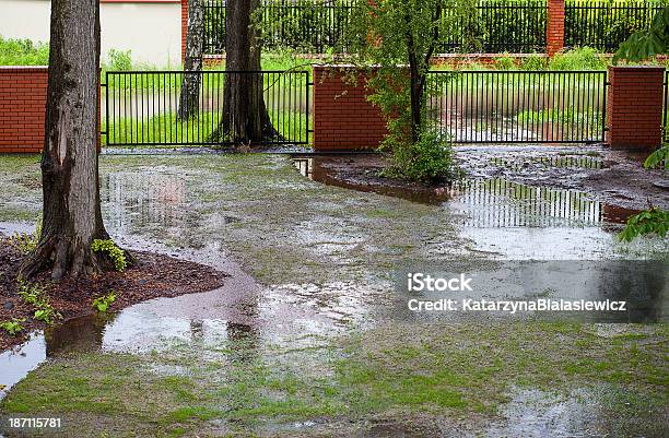 Spring Flood Stock Photo - Download Image Now - Yard - Grounds, Flood, Rain