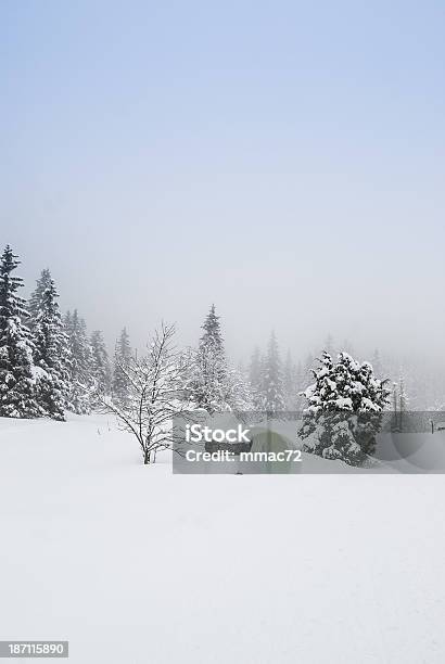 Foto de Paisagem Do Inverno Com Neve E Árvores e mais fotos de stock de Ajardinado - Ajardinado, Alpes europeus, Azul