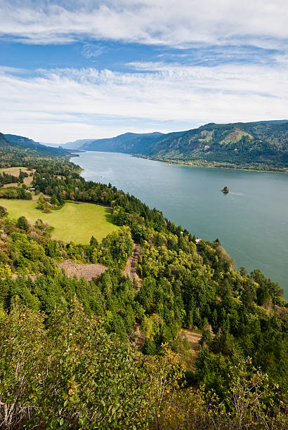 Columbia Gorge from Cape Horn The Columbia Gorge is a canyon of the Columbia River which forms the border between the states of Oregon and Washington. The canyon is up to 4,000 feet deep in places and stretches for over 80 miles as the river winds westward through the Cascade Range. This scene of the Columbia River was taken from Cape Horn near Washougal, Washington State, USA. jeff goulden columbia gorge stock pictures, royalty-free photos & images