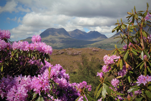 The mountains of Alligin near Torridon on the west coast of Scotland, seen fro across Upper Loch Torridon. Late spring.
