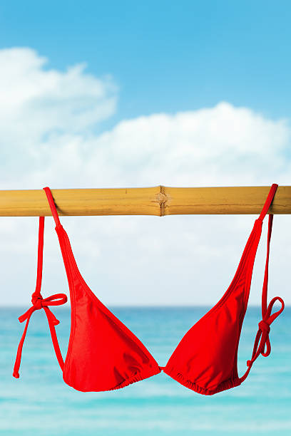 istock Red Bikini Top Hanging on Bamboo Pole for Drying 187116292