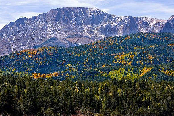 crystal creek jesień - 14000 foot peak zdjęcia i obrazy z banku zdjęć