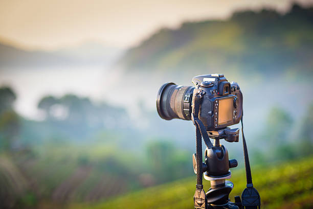 A professional videographer is filming a concert on stage. blurred artists on stage, focus on the camera. unrecognizable people.