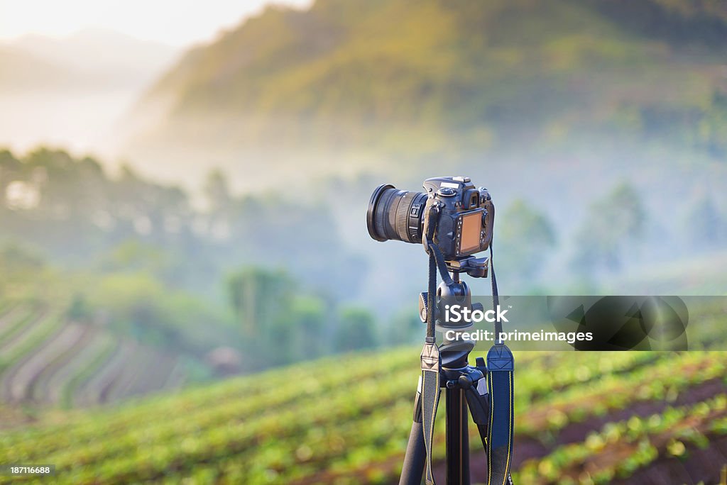 Lente de Câmera e tirar fotografia de manhã tempo - Royalty-free Acidente Natural Foto de stock