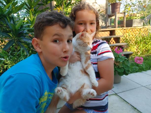 niño de 10 años y niña de 7 años con gato naranja en el jardín de verano - 7 10 years fotografías e imágenes de stock
