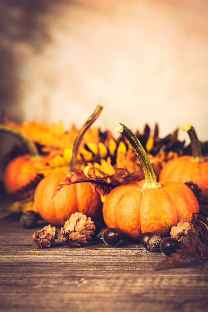 istock Autumnal Thanksgiving Arrangement 187119571