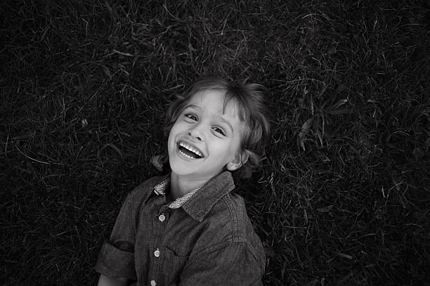 istock Aerial View of Laughing Boy 187119618