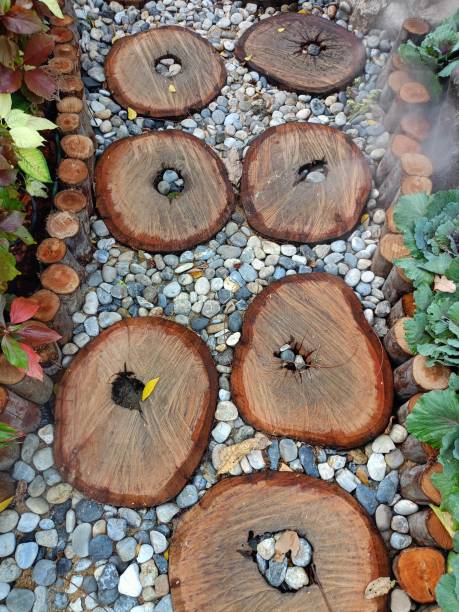 Tree stumps are used to decorate garden paths.
