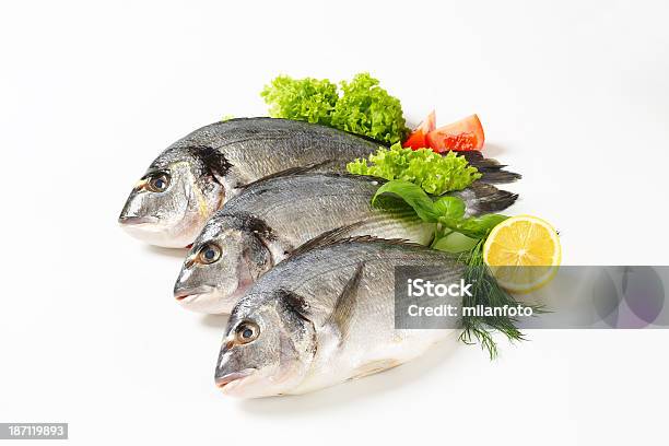 Breams Mare - Fotografie stock e altre immagini di Alimentazione sana - Alimentazione sana, Aneto, Animale