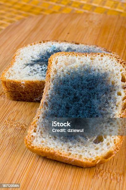 Moldy 식빵 한 도마와 0명에 대한 스톡 사진 및 기타 이미지 - 0명, 갈색, 건강에 좋지 않은 음식