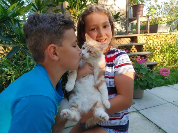 menino de 10 anos e menina de 7 anos com gato laranja no jardim de verão. menino está beijando gato. - 7 10 years - fotografias e filmes do acervo