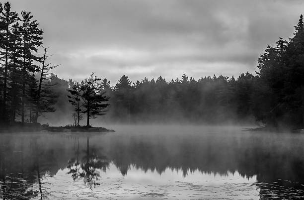istock Foggy lake at sunrise - black and white 187121278