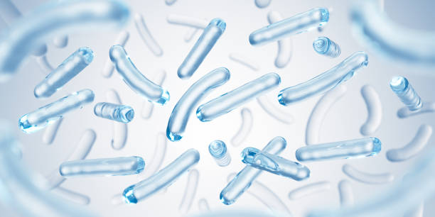 пробиотические бактерии, лактобактерии. - probiotics стоковые фото и изображения