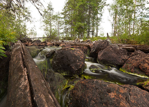 istock Small creek in nature reserve Trollmosseskogen, Dalarna, Sweden 187121890