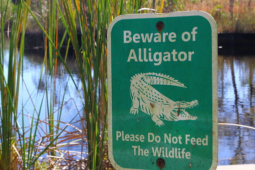 Alligator Warning Sign at a Pond in Florida