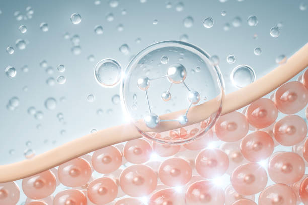 istock Liquid Bubble Oil with Molecule drop on skin cell.serum through the skin layer and reduce up saggy skin, 3d rendering. 1871222169