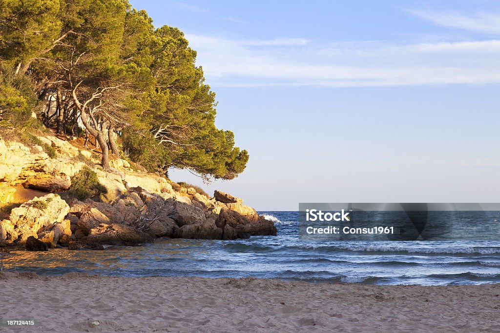 Playa al atardecer - Foto de stock de Agua libre de derechos