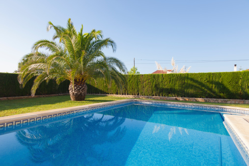 Palm tree next to the pool of a villa at the Gold Coast in Tarragona, Spain.