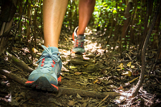 istock Outdoor hiking in the woods 187124433
