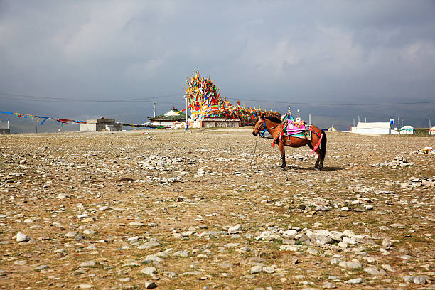 bandeiras de orações - tibetan script fotos - fotografias e filmes do acervo