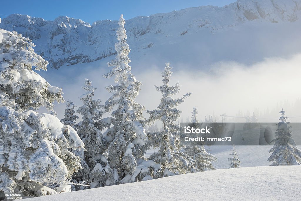 Paysage d'hiver avec la neige et arbres - Photo de Alpes européennes libre de droits