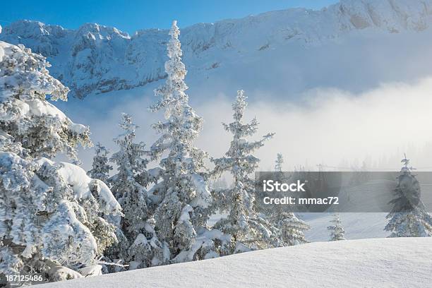 Paesaggio Invernale Con Neve E Alberi - Fotografie stock e altre immagini di Albero - Albero, Albero sempreverde, Alpi